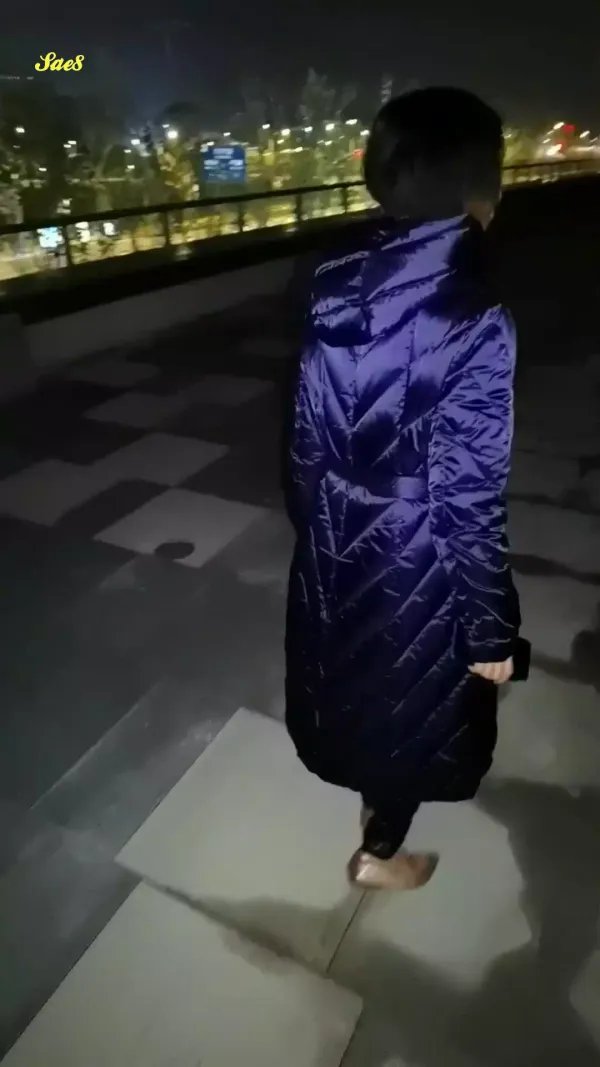 阿姨终结者原版高清全集之河南老阿姨车震